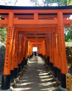 TUI Tours Japan Unmasked Shrine red gates
